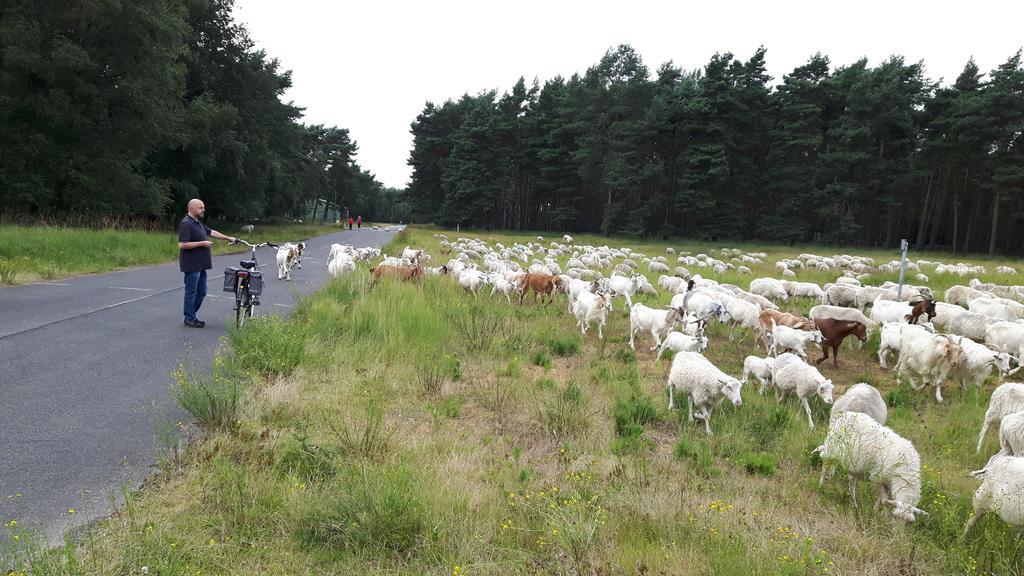 Ferienhaus Burgblick Brueggen Bruggen  Kültér fotó
